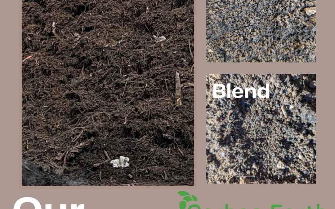 Compost, Topsoil, or Blend – Which One Should You Choose?