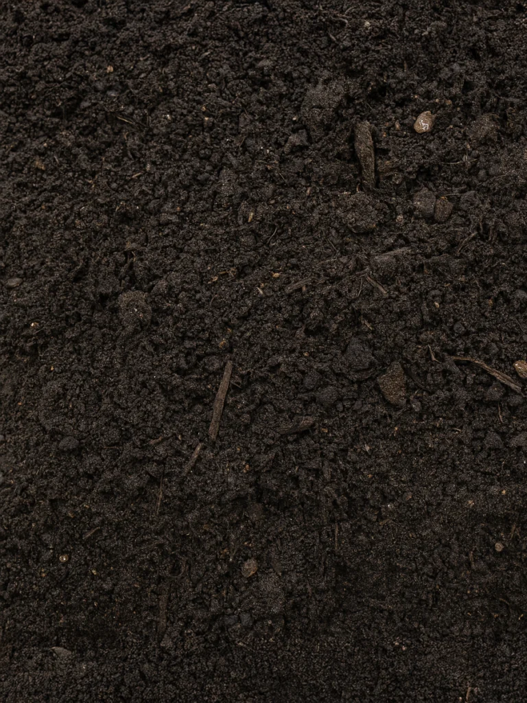 Compost Soil